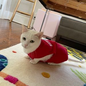 Smirnoff Medium Dog Shirt